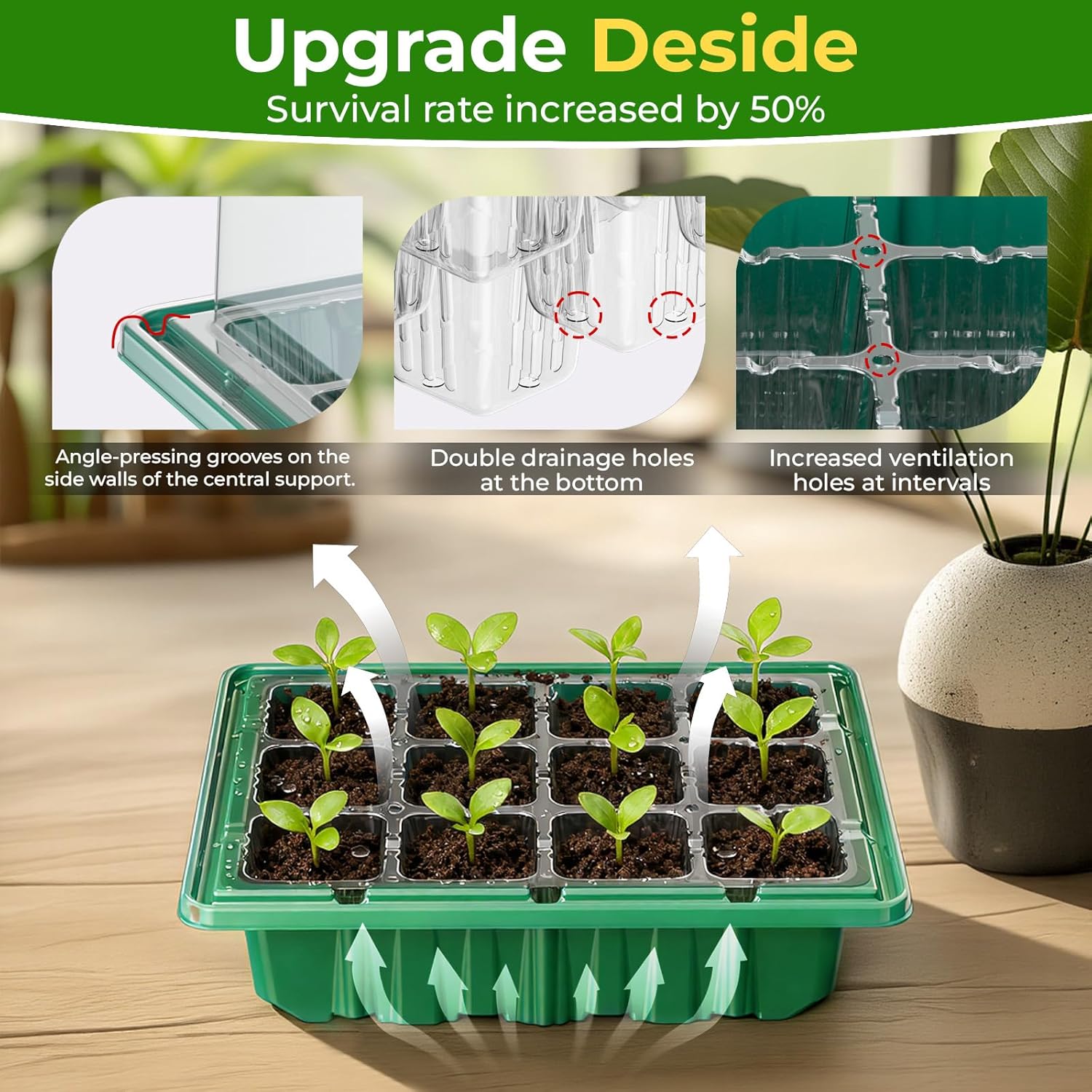 2026 Seed Starter Trays with Grow Lights and Heat Mat, 36 Extra Large Cells Plant Starting Kit, 4 Timing Set ,Humidity Domes Heightened Lids for Greenhouse Germination Seeds Growing Starting (3PACK)
