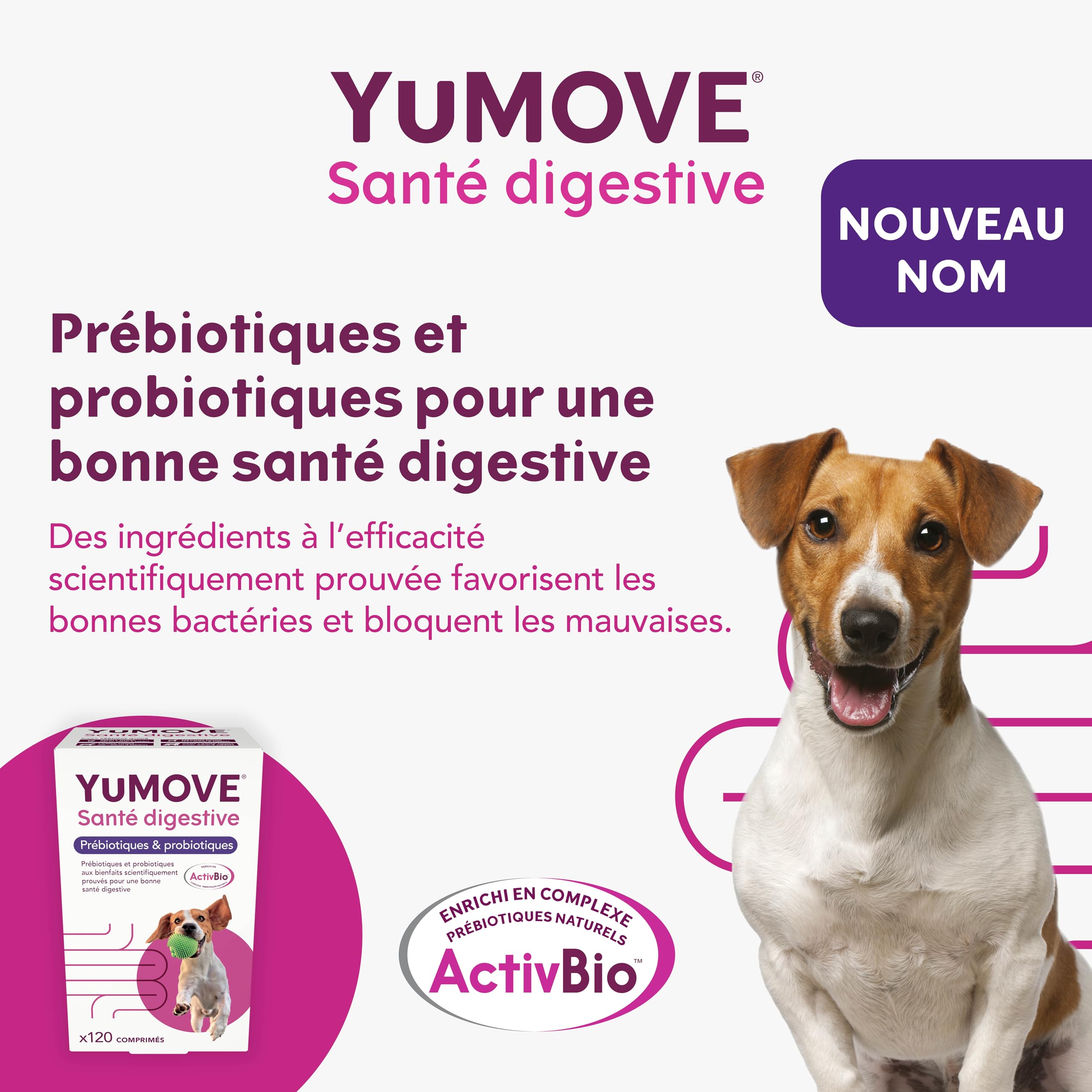 YuMOVE Pré et Probiotique Chien 120 Comprimés - 200M+ Bactéries Probiotiques E. faecium & Complexe ActivBio avec Bêta‑Glucanes - Probiotiques Flore Intestinale Chien pour Une Meilleure Digestion