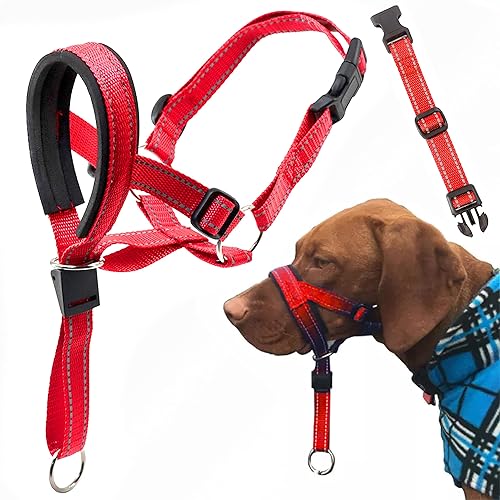 Cabestro para cabeza de perro con correa de seguridad, collar para la cabeza, collar de perro sin tirones, perfecto para entrenamiento de correa y