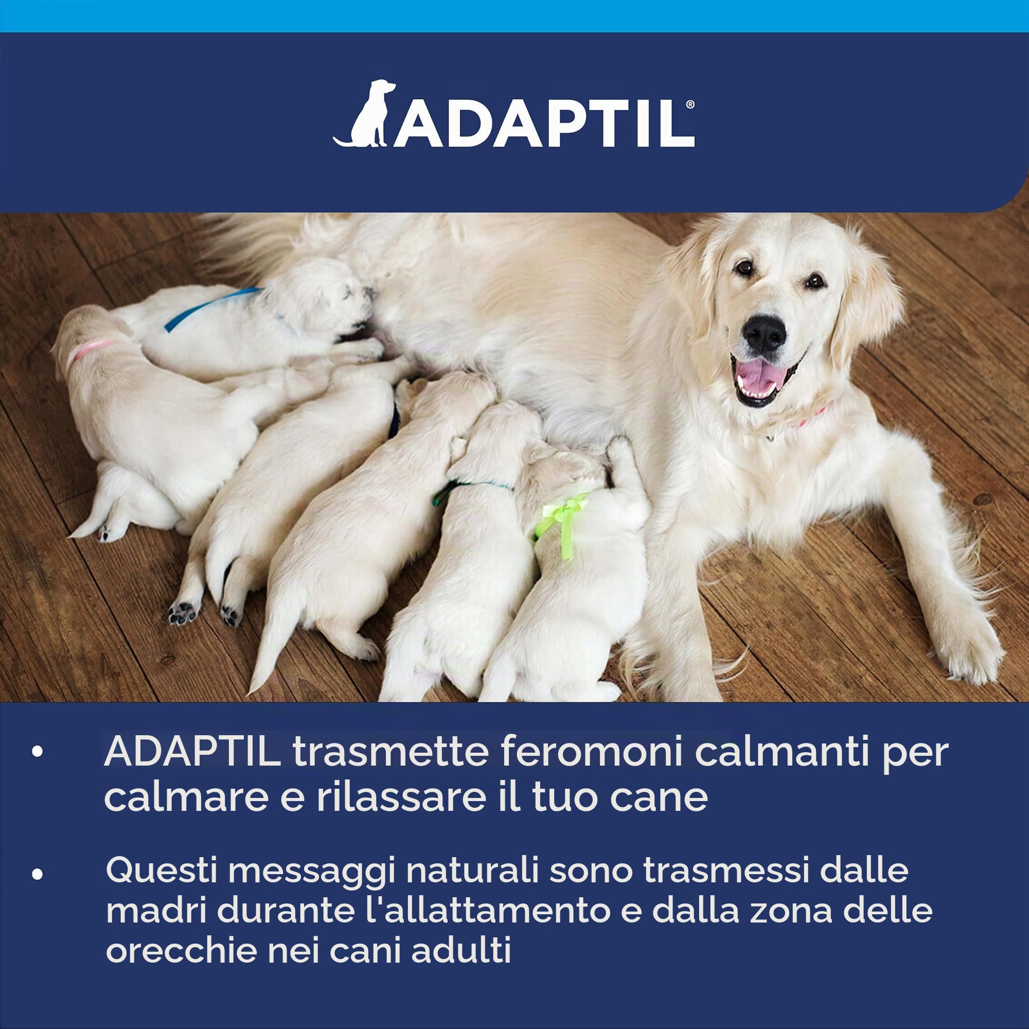Adaptil Calm - Anti-Stress per i Cani - Home Alone, Paura, Forti rumori, Adozione - Diffusore + Ricarica 48ml
