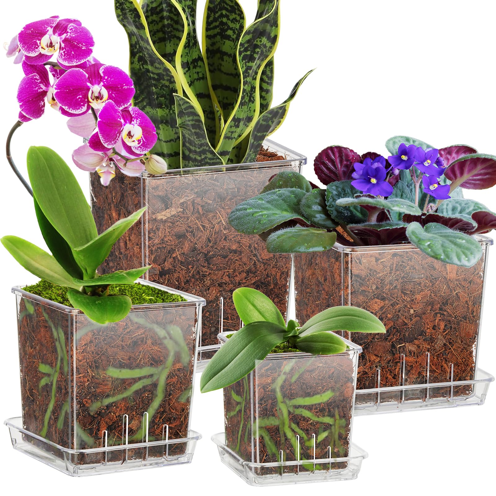 Snapklik.com : IWNTWY Clear Plant Pots, 6/5/4/3 Inch Set Of 4 Flowers Pot