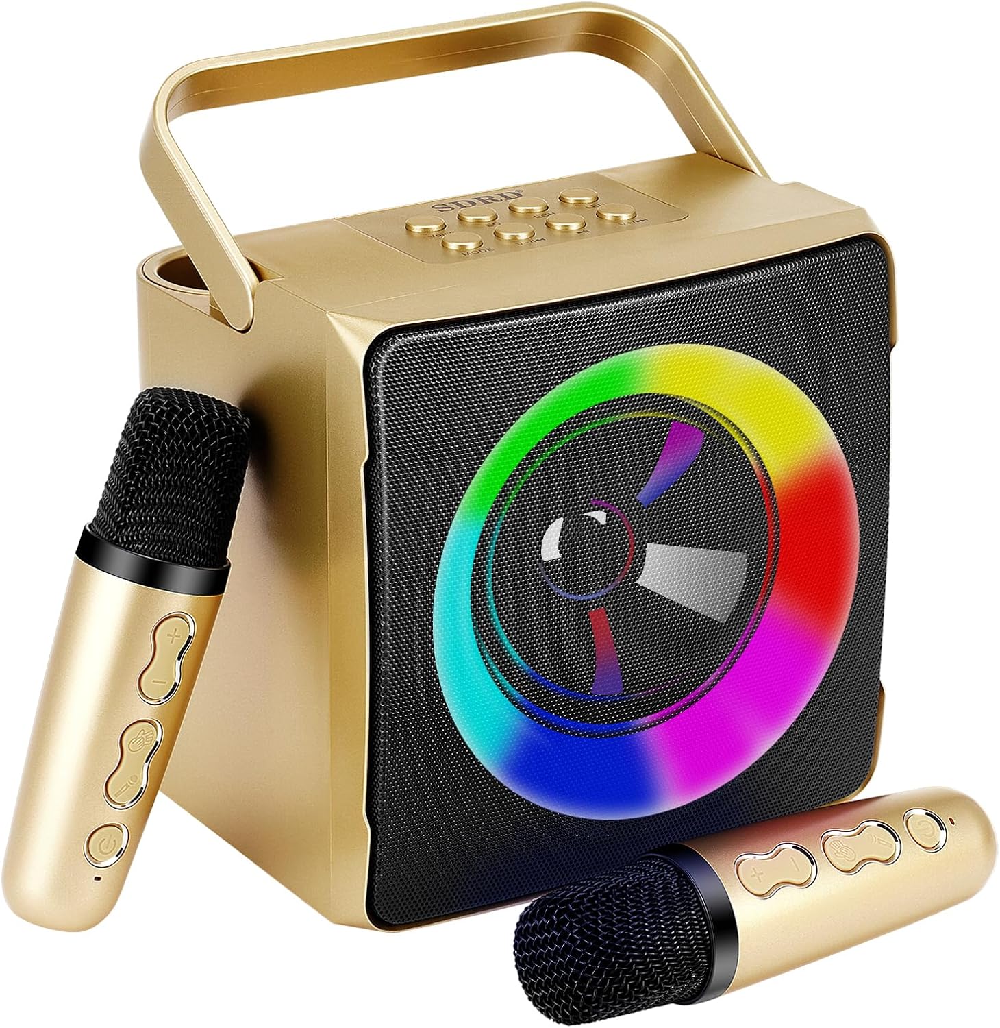 Karaoke Machine, Portable Karaoke Systems with 2 Wireless Microphones