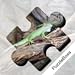 Jigsaw Puzzles: Lizards