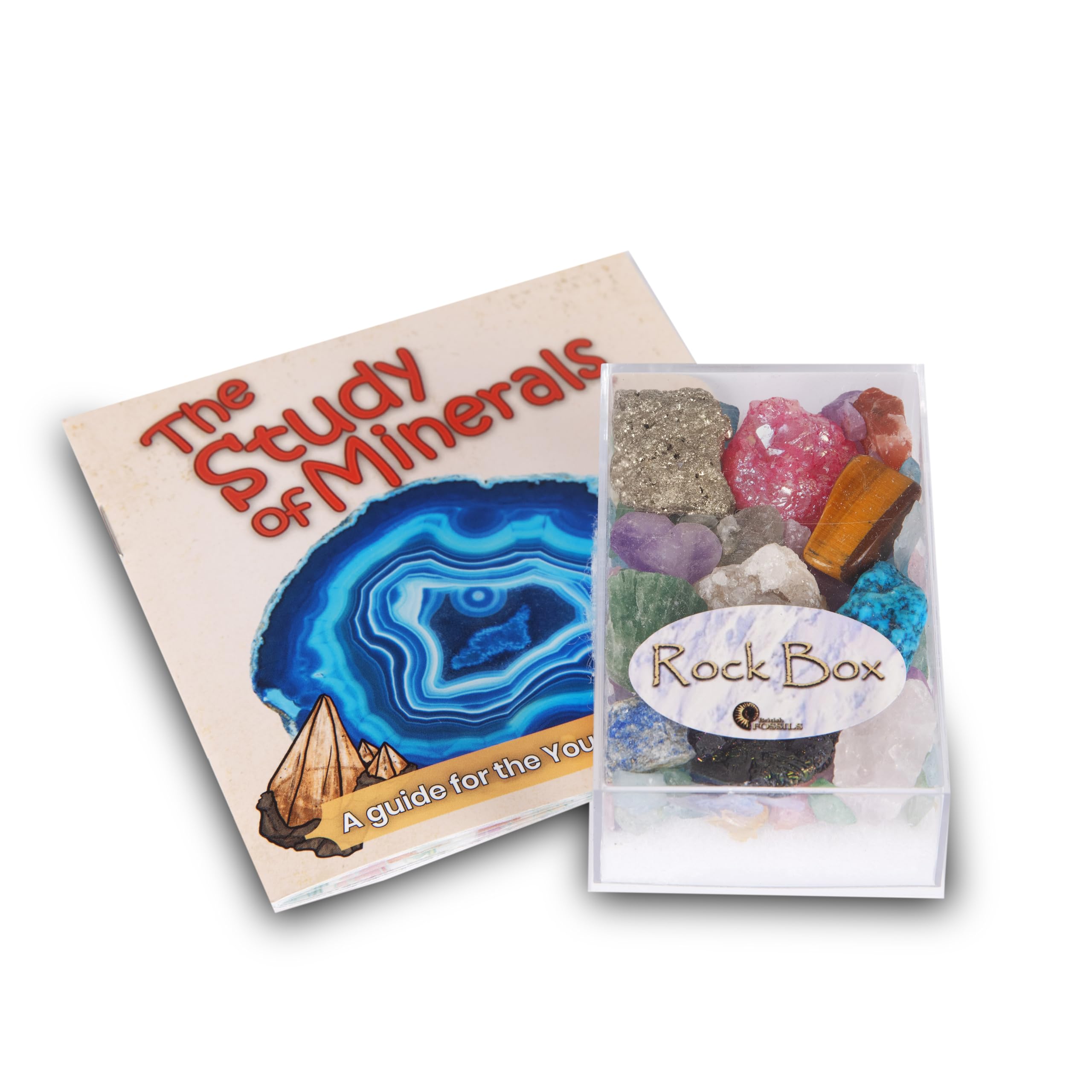 Rock Box - Unique Genuine Mineral Collection with Study of Minerals Educational Booklet, 11 cm x 16.5 cm x 5.5 cm - Image 4