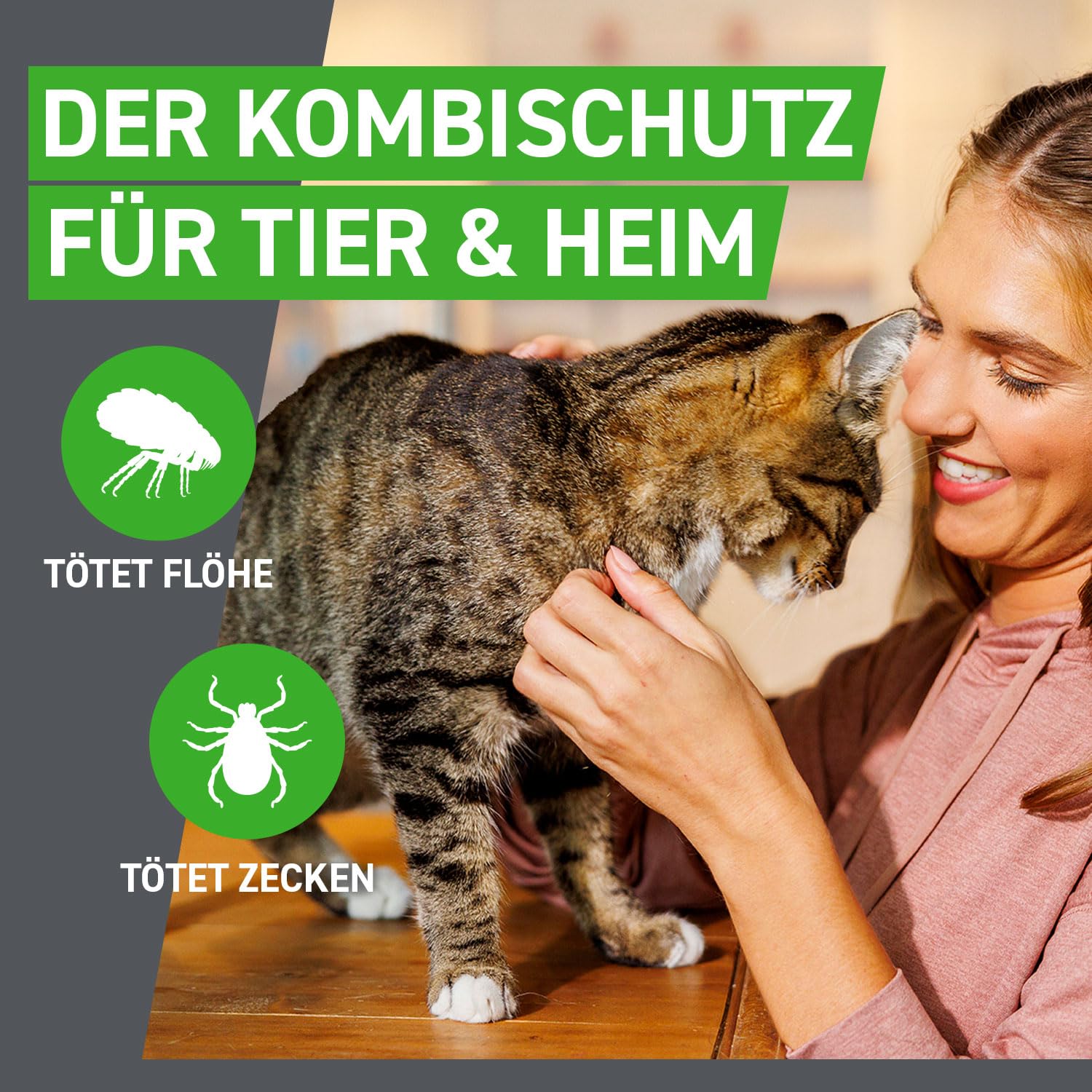 FRONTLINE Combo Katze gegen Zecken, Flöhe & Haarlinge (für Jede Größe & Gewicht) - 6X Pipetten für bis zu 6 Monate Schutz - auch gegen Floheier, Larven & Puppen im Haushalt - wasserfest