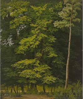 ArtDirect Broadleaf forest (study in oil) (1835) Unframed Art Print Giclee Poster by Christian Heerdt - Ready for Framing with Customization Sizes 8x10, 11x13, 16x19, 24x29, 36x43 and 48x58 inches