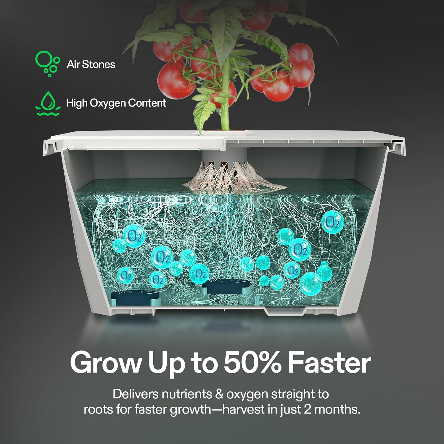 VIVOSUN VGrow DWC Hydroponics System Kit, Only for VGrow Smart Grow Box, Not Compatible with E42A/A22/A10，Not Used in Grow Tent, 4-Gallon with Air Stones & Rapid Rooters