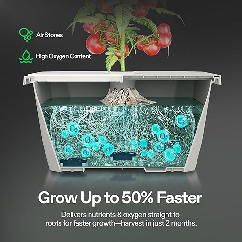 Miniatura 3 de VIVOSUN VGrow DWC Kit de sistema hidropónico, solo para caja de cultivo inteligente VGrow, no compatible con E42AE42A+A22A10, no se usa en carpa de