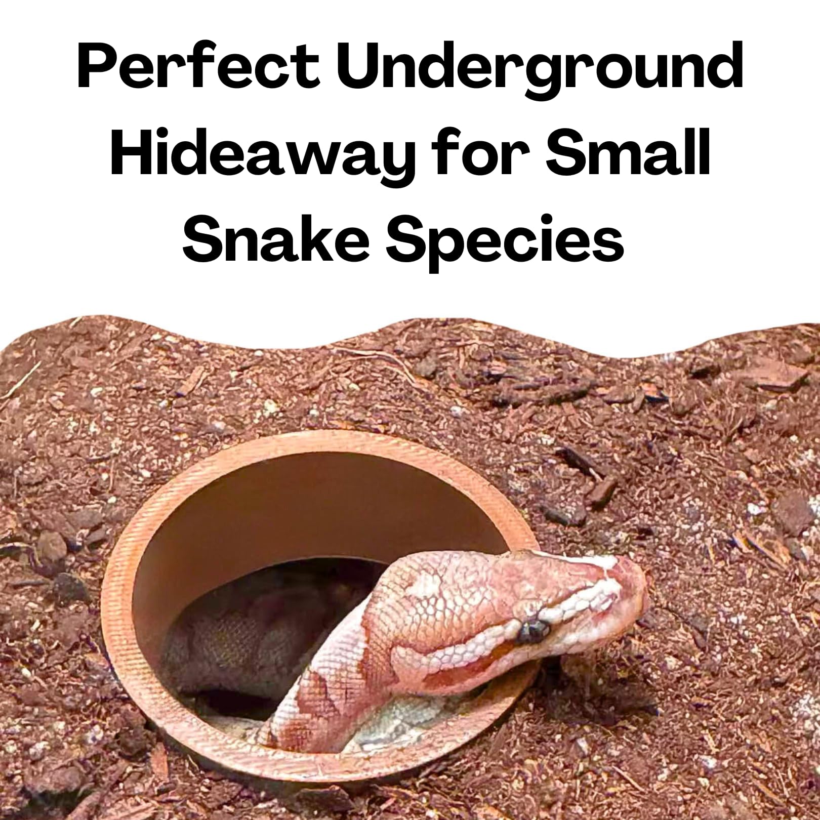 Reptile Corner Underground Cave Viewing Hide | Hognose Snake, Corn