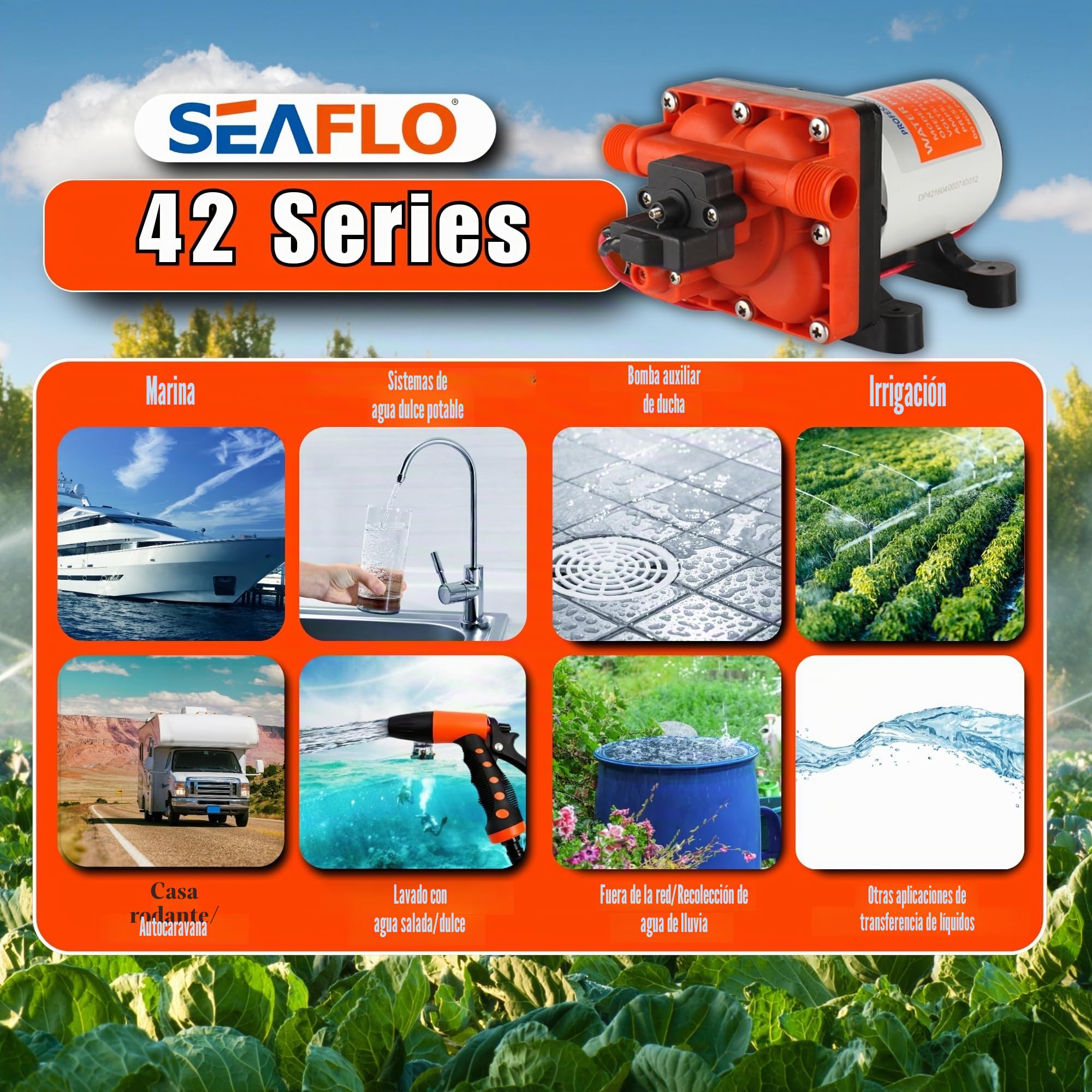 Seaflo Bomba de diafragma Serie 42 con bypass-12V/24V 3.0GPM 55PSI (12 Voltios)