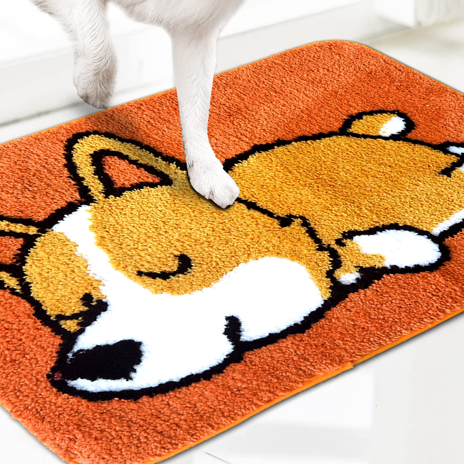 Dog Door Mat Washable Door Mat Indoor,Cute Rug with Water Absorbent Indoor Outdoor,Rubber Muddy