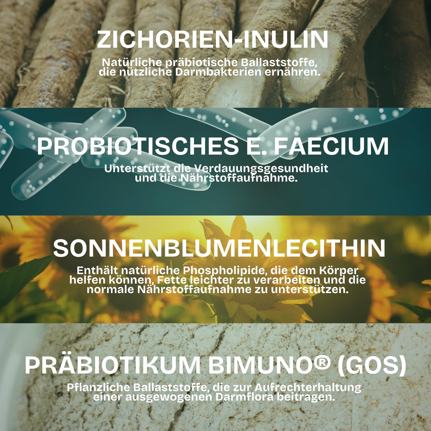 Probiotics - Verdauungsunterstützung für Katzen