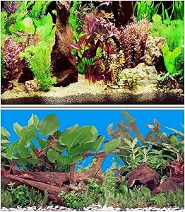 Hidom Aquarium Background Poster Double Sided - Height 24" / 60cm