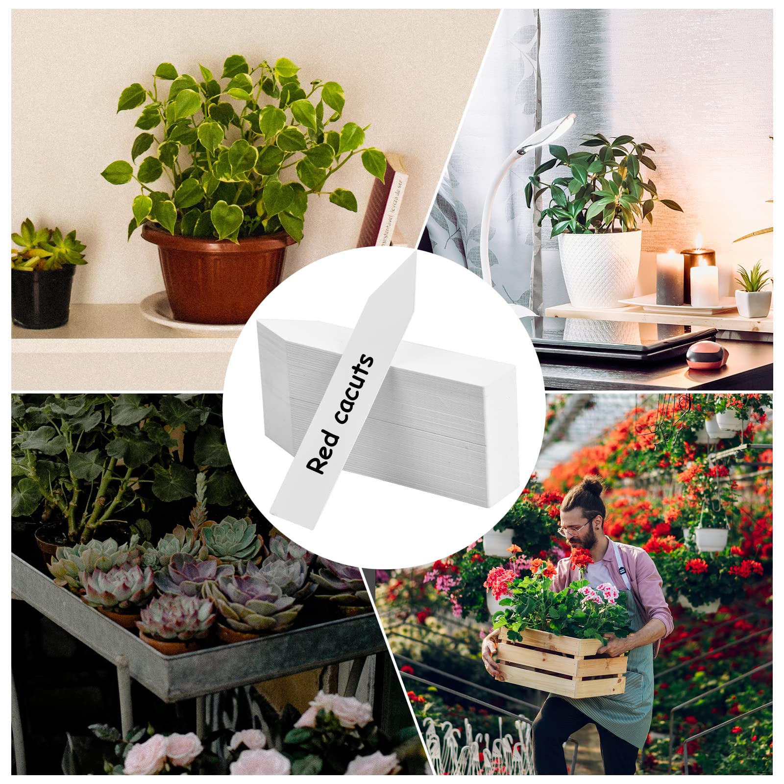 étiquette Pour Planter Une Plante 200 Étiquettes Pour Plantes Avec 2 Marqueurs - Bouchons Enfichables 15 Cm - Jardin, Balcon, Potager Ardoise Jardin