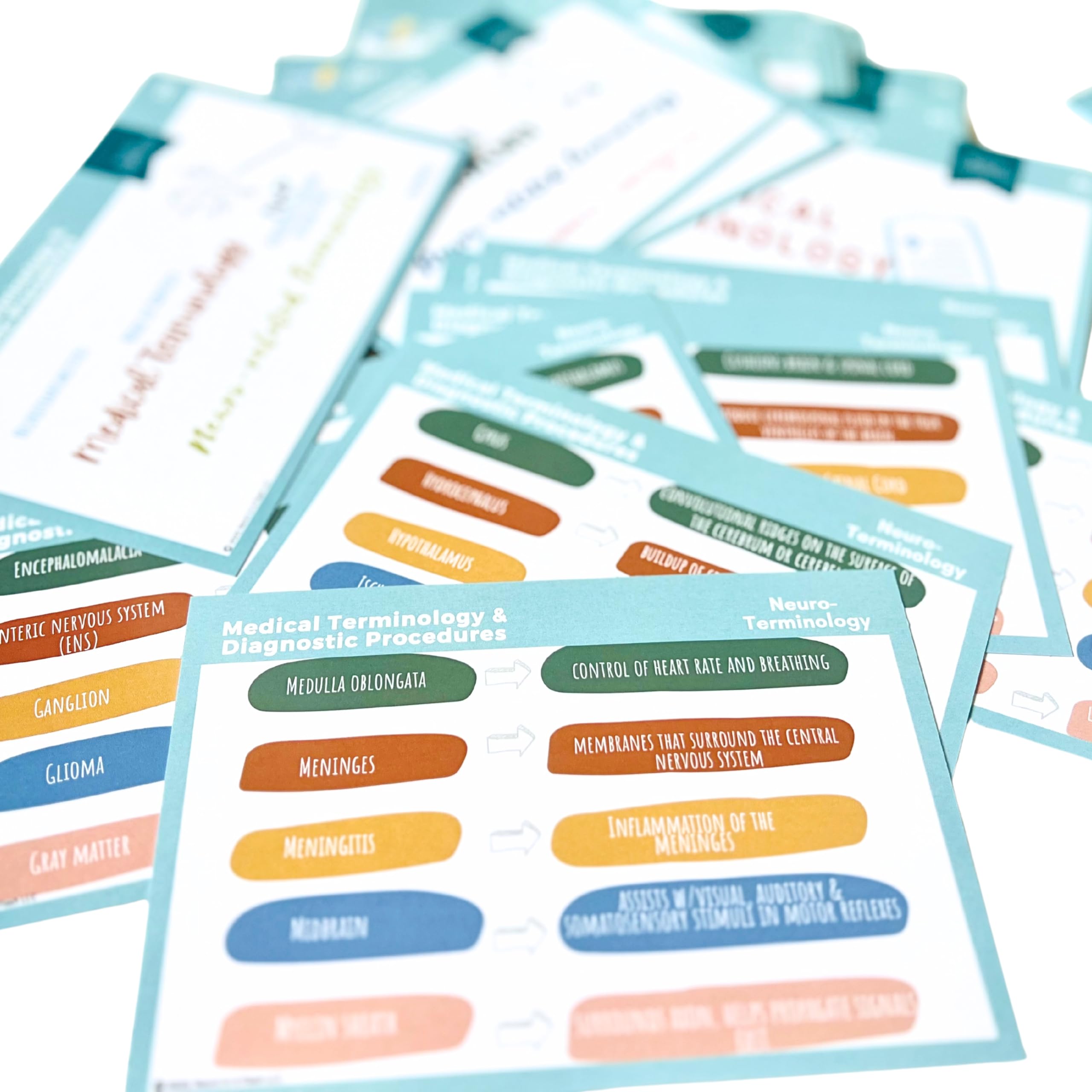 Medical Terminology EEG Flashcard Deck | END Study Guide | EEG School Supplies | Neurophysiology Education Resources | ICU Neurology Critical Care Terms EEG Pattern Definitions Anatomical Direction - Image 3