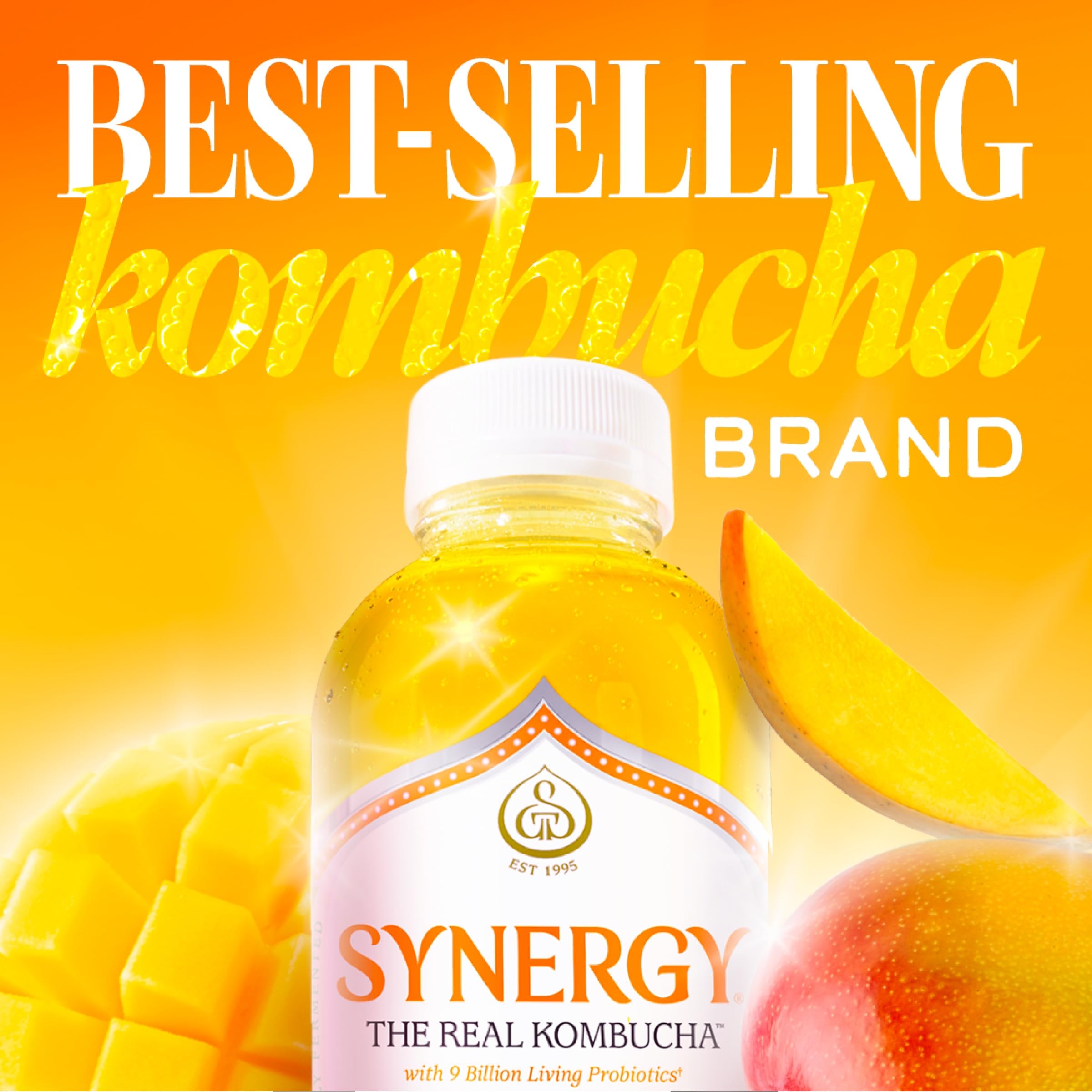 Amazon.com: SYNERGY The Real Kombucha - Mystic Mango - 16 fl oz
