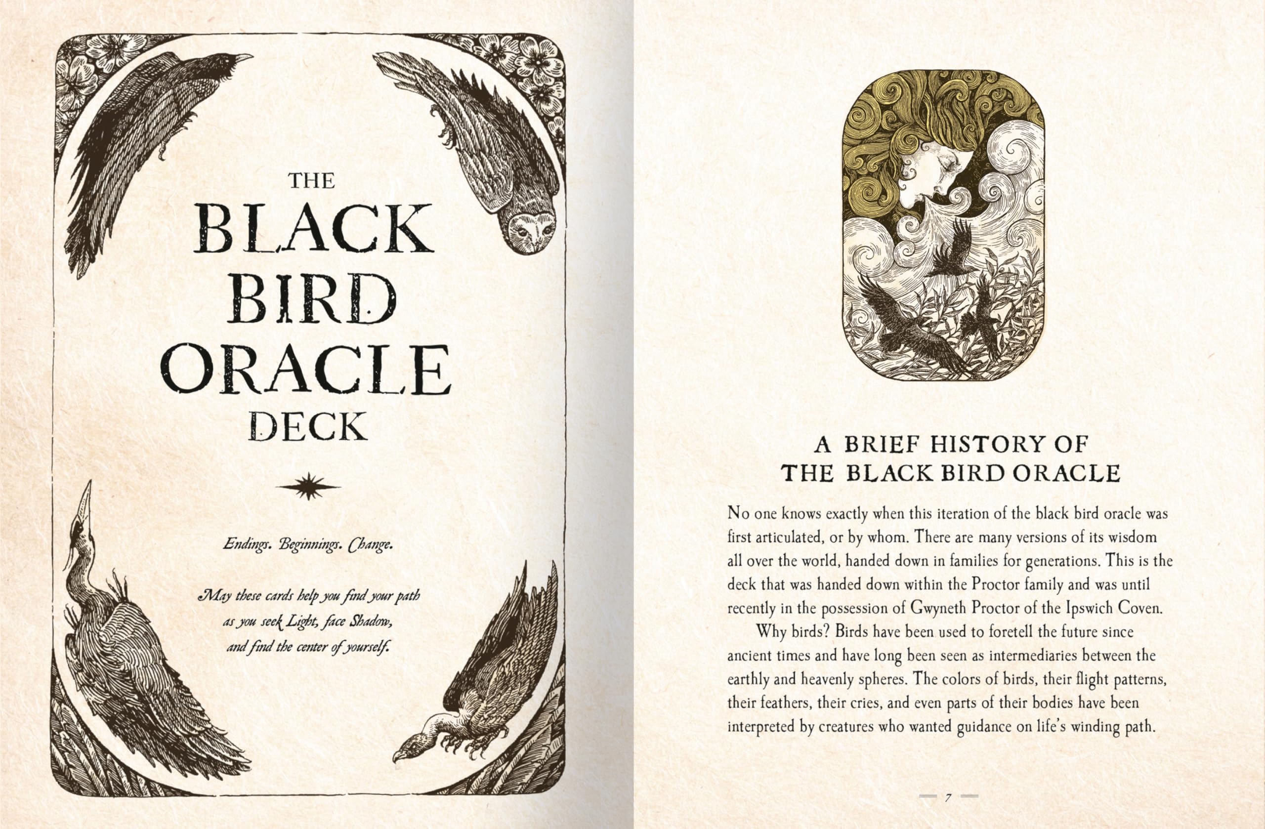 The Black Bird Oracle Deck: A 52-Card Deck and Guidebook