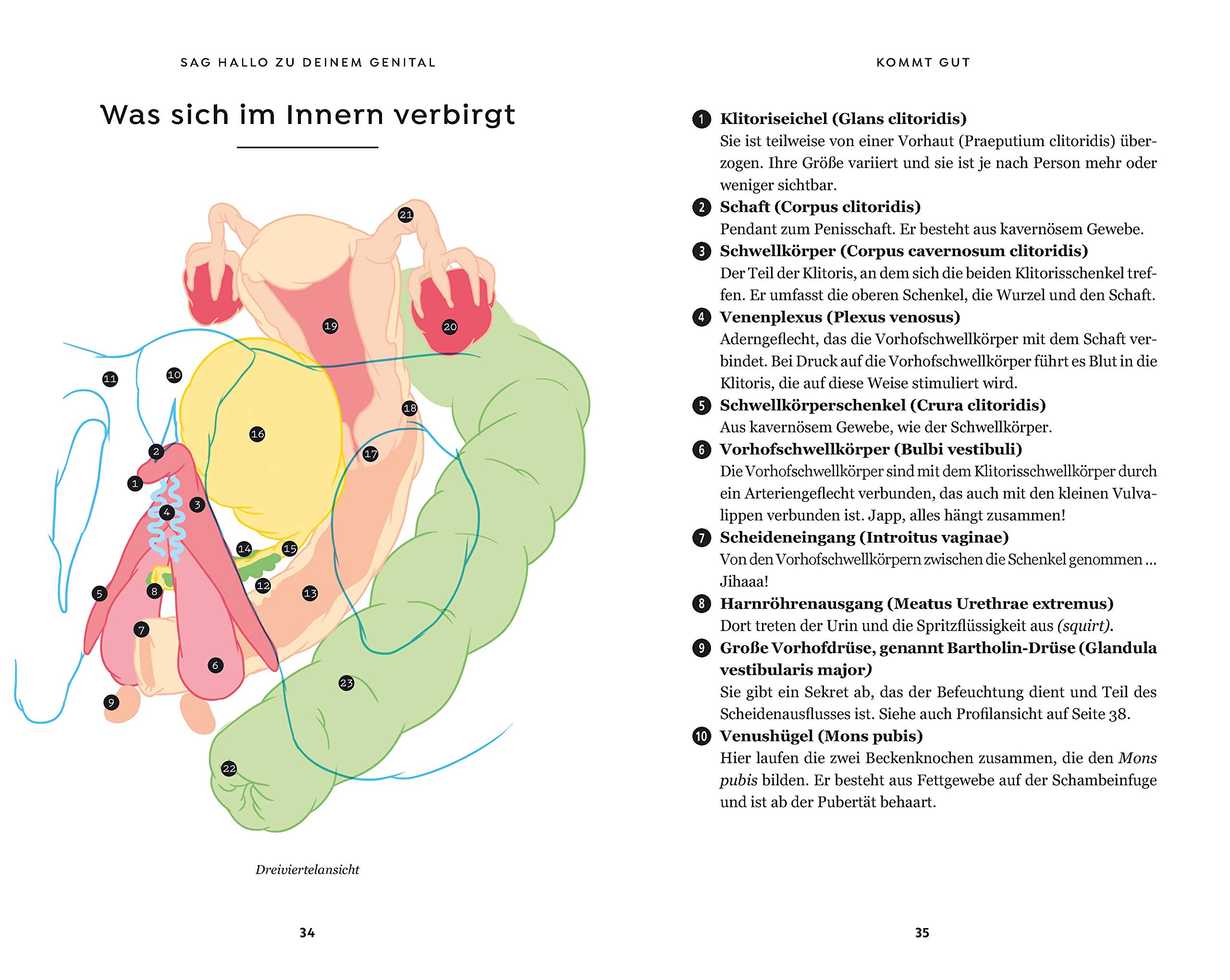 Kommt gut: 1001 Sex-Tipps und Illustrationen für mehr Oohs und Aahs