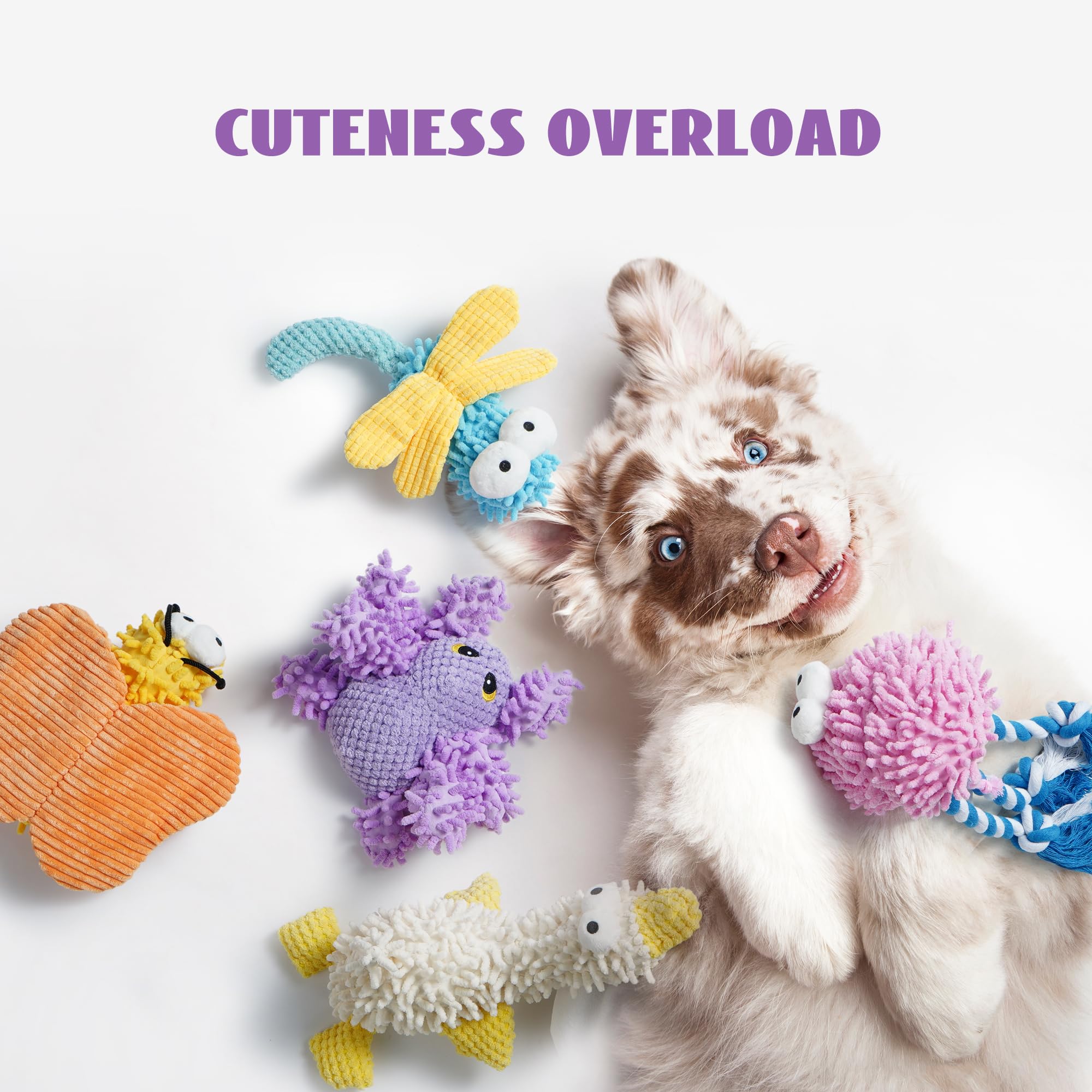Nocciola 5 pack Squeaky Soft Dog Toys, Cute Colourful Plush Dog Toys with Crinkle Paper - Image 2