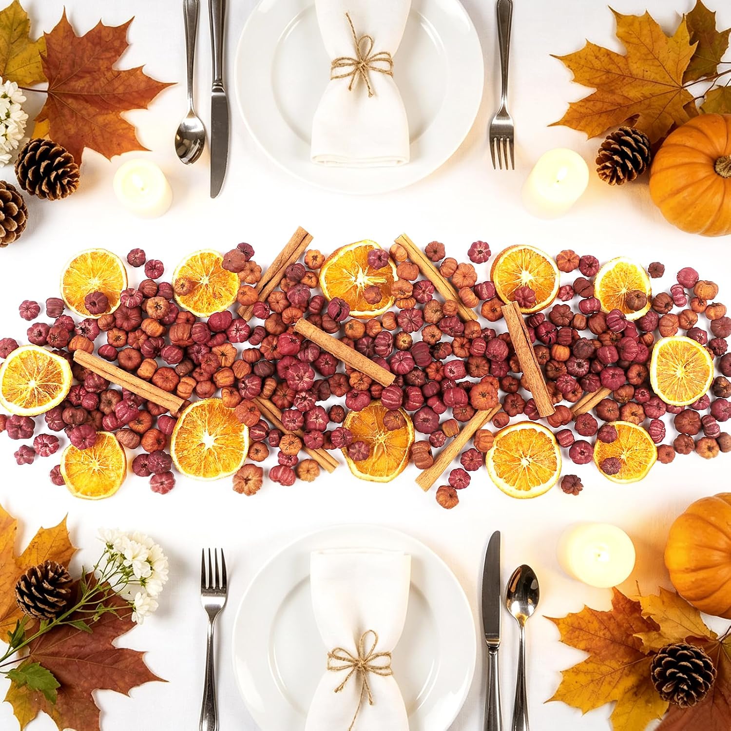 Mini Dried Pumpkin Pods Set Natural Putka Pods Dried Exotics with Orange Slices & Cinnamon Sticks Mini Pumpkin Fall Potpourri Bowl Decor for Home Farmhouse Table Centerpiece