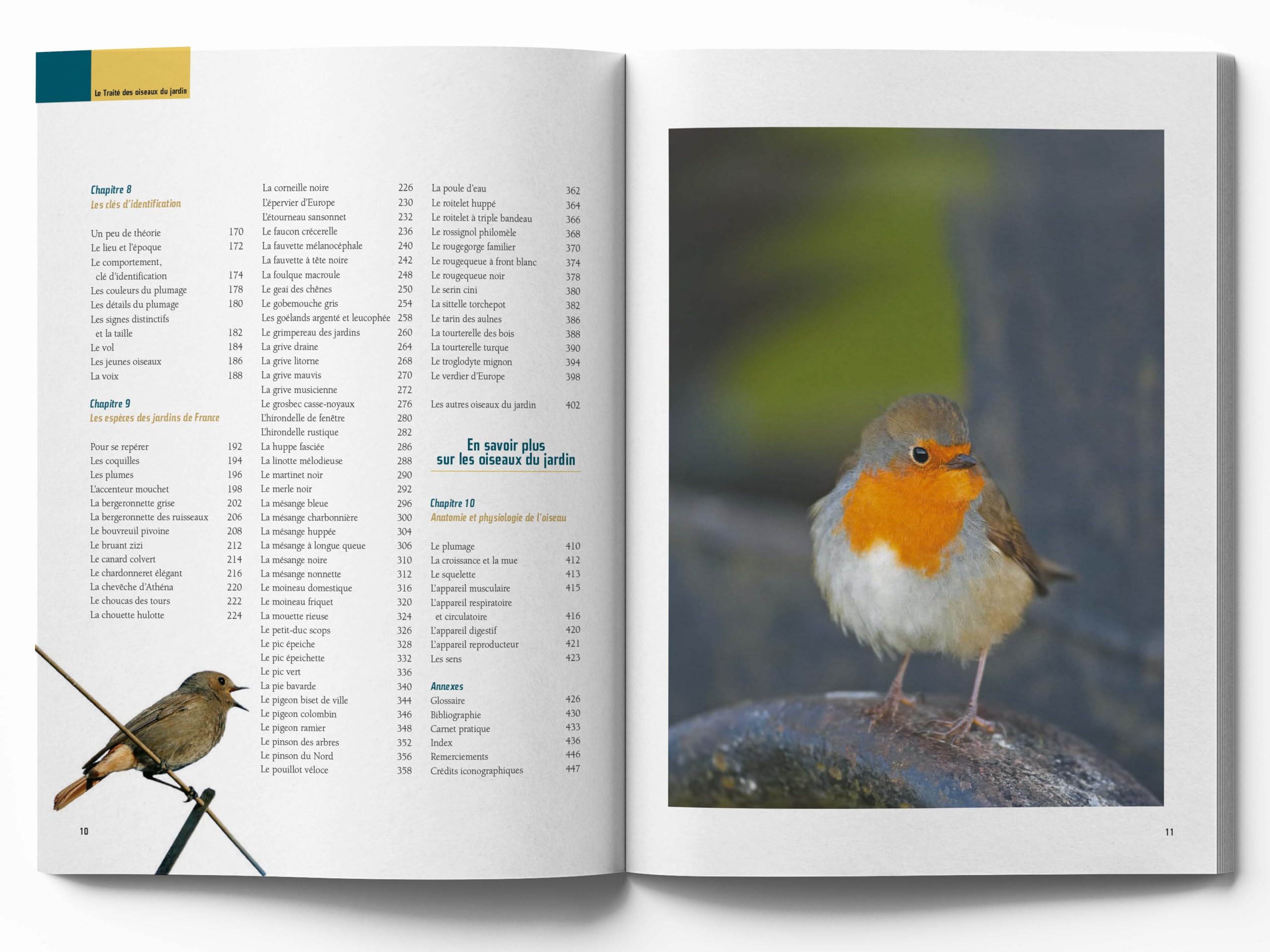 Le traité Rustica des oiseaux: Des jardins, des bois et des campagnes