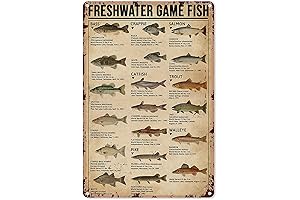 Retro Tin Signs Vintage Fishing Art: Wall Decor for Fishing Enthusiasts