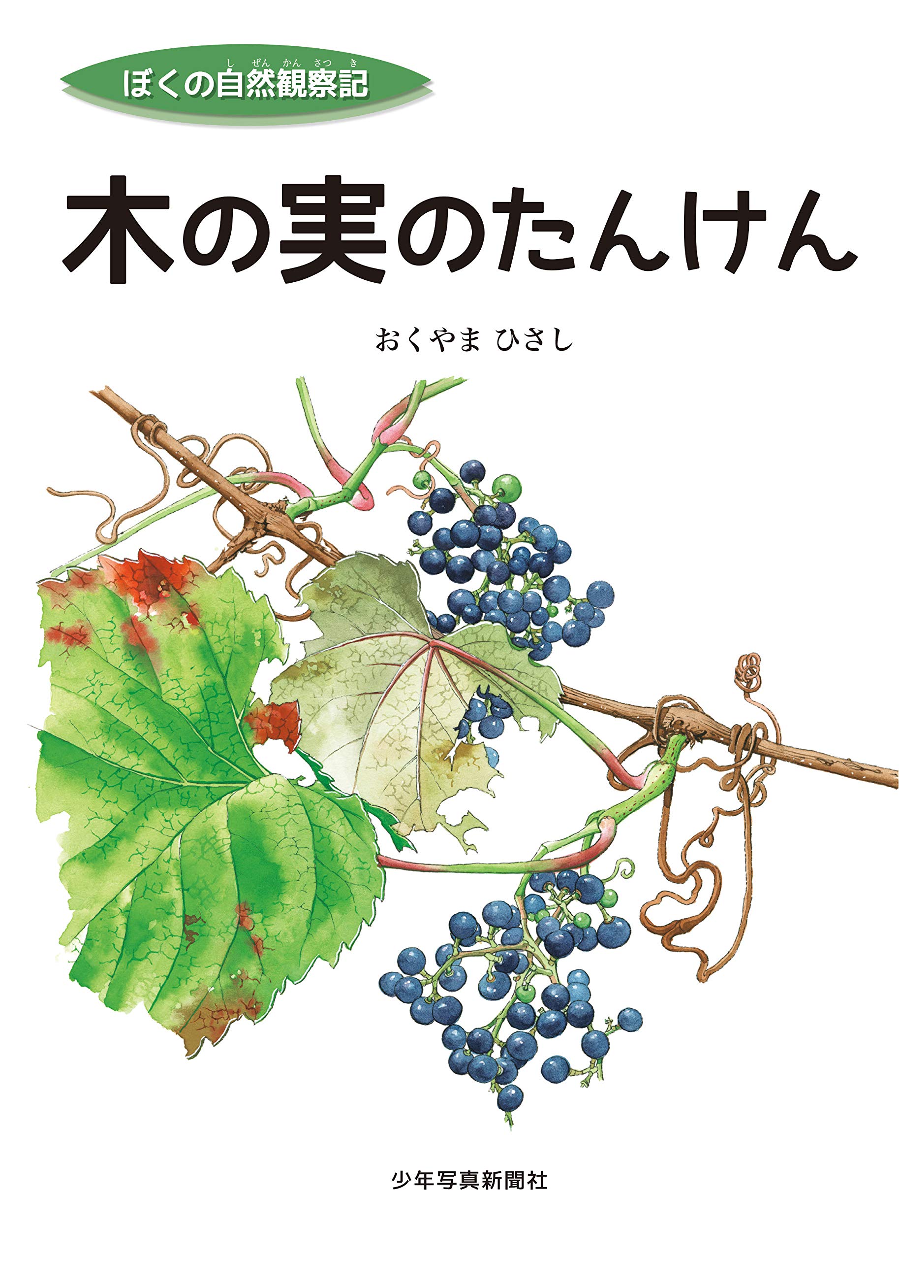 木の実 草の実　カラーブックス 81k5AMW4r5L.jpg