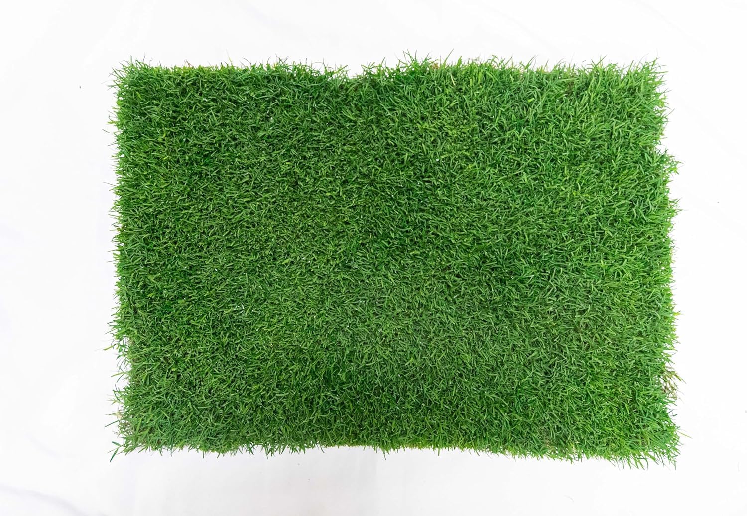 Gotta Go Grass for Reptiles - Natural Grass Bedding Mat & Resting Pad, Real Lawn Patch for Tortoises, Lizards, Snakes and Amphibians, Safe & Absorbent Reptile Substrate, 16