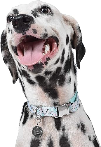 Vista 6 de Now House for Pets by Jonathan Adler Mint - Collar de terrazo, mediano, manera elegante y moderna de mantener a tu perro con un aspecto genial