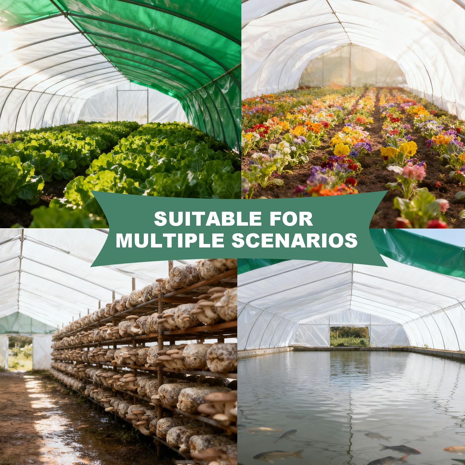 Láminas de Polietileno para invernaderos, Láminas de plástico Gruesas para jardinería, Cubiertas Impermeables Verdes y Blancas para Cultivos agrícolas en invernaderos(Size:3x20m)