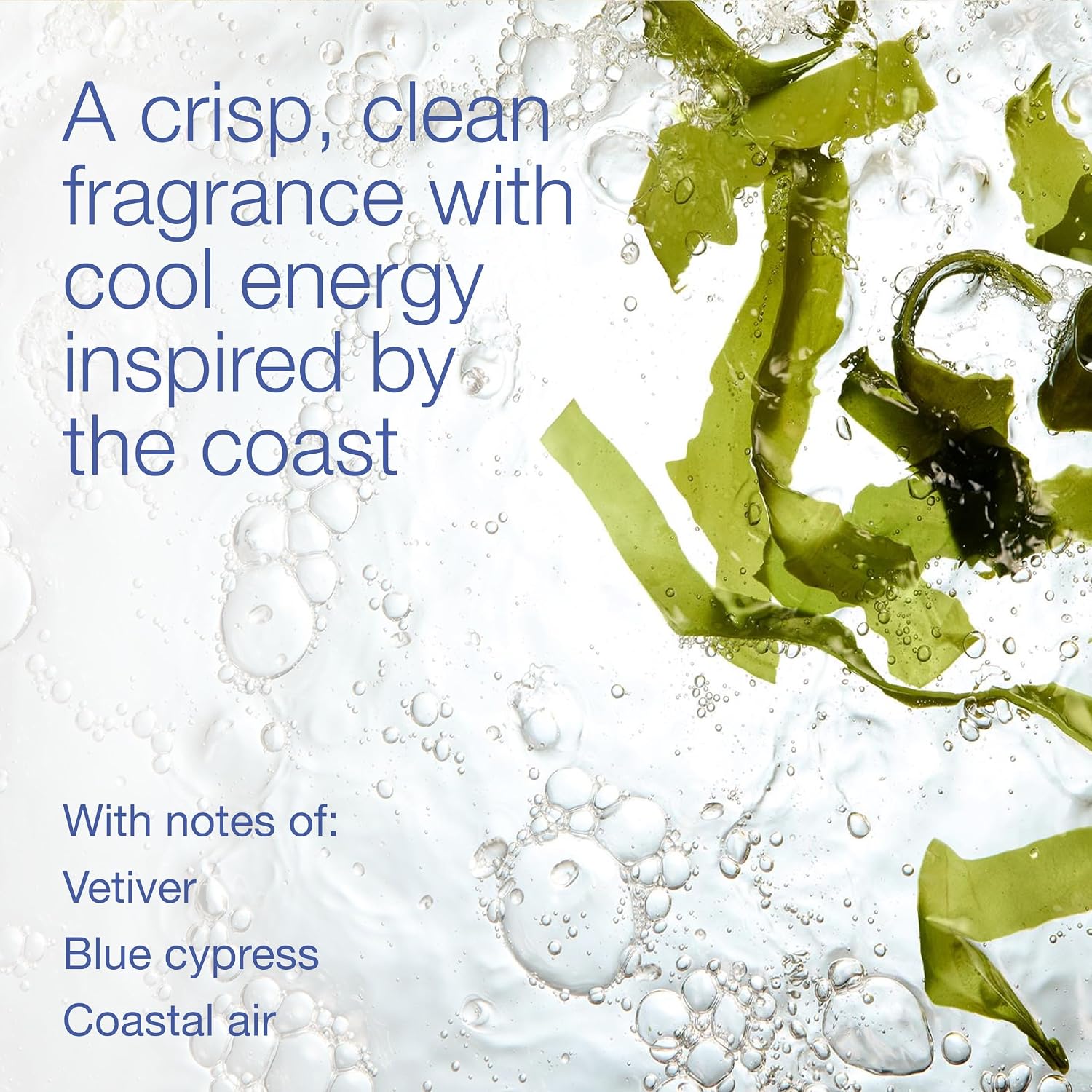 Bath & Body Works Body Spray for Men, Ocean Scent, Men’s Spray with Long-Lasting Personal Fragrance, Fresh Coastal Air & Cypress Scent, 3.7 oz - 1 Pack