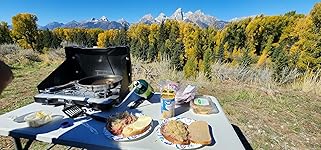 Review Image by Tiki Tiffany