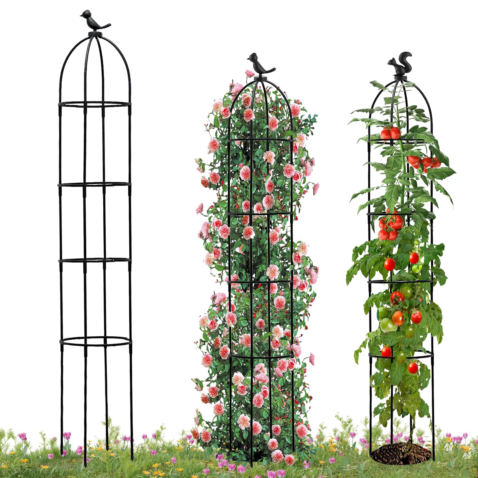 obélisque de jardin pour plantes