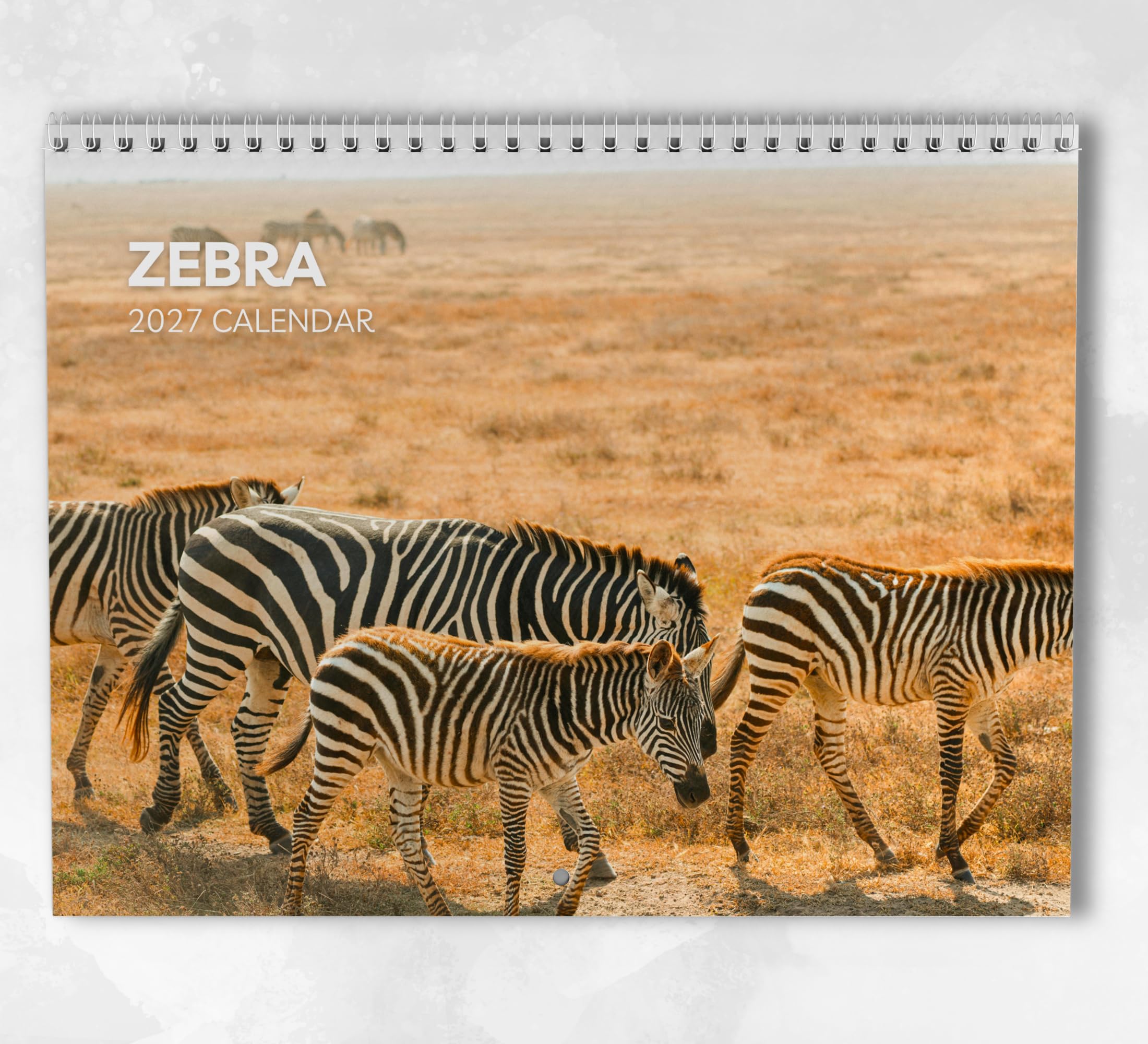 Zebra Calendar 2027: Monthly Wall Calendar with Notes, Hanging A3 Size, Includes key dates & holidays