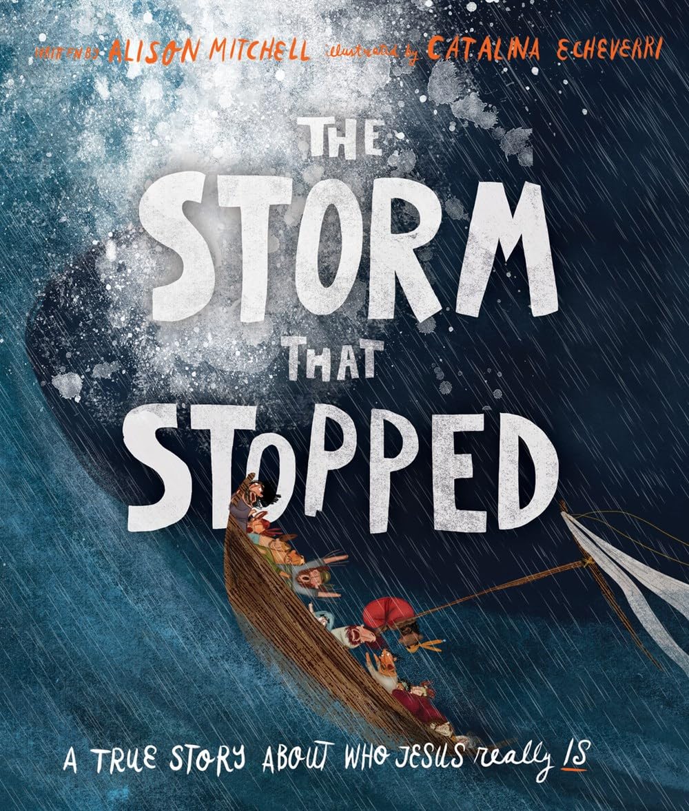 The Storm That Stopped By Alison Mitchell,Catalina Echeverri
