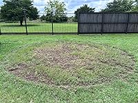 Review Image by Marisol Lopez Marisol Lopez