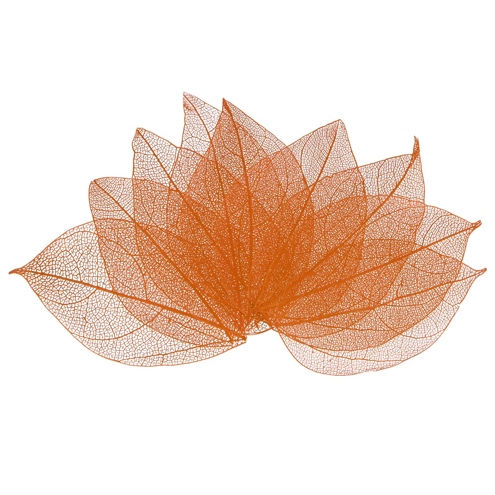 M METERXITY 200-Pack Skeleton Leaves, Natural Rubber Tree Dried Pressed Leaves Vein for Resin/DIY Crafts Card/Scrapbook/Wedding, Small Leaves Decorative [4-6cm, Skin Color]