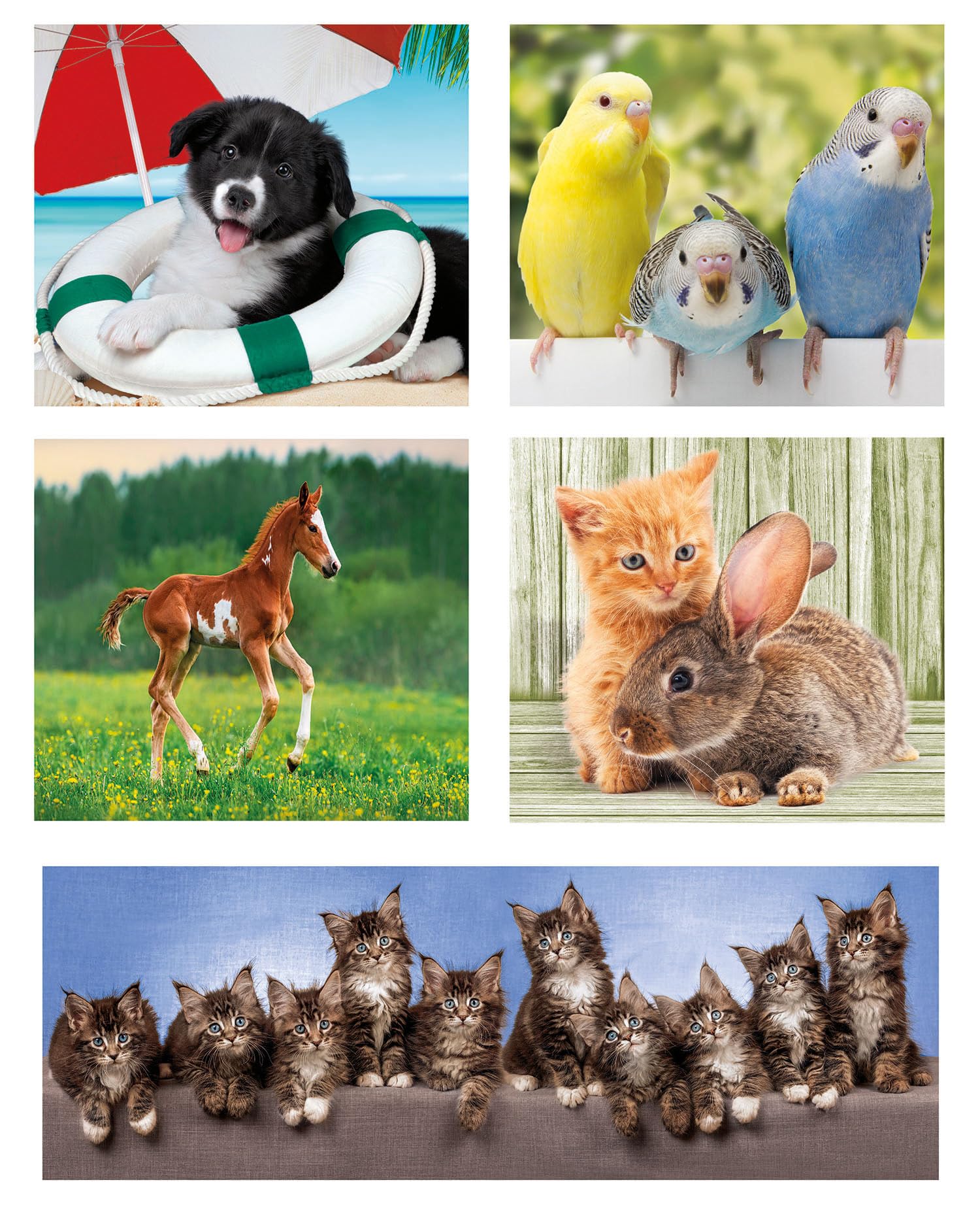 Clementoni Jigsaw Puzzle 10 In 1 Animal Friends (60+2x48+4x30+3x18 Pieces), Supercolor Puzzle For Children 4-6 Years - Image 2
