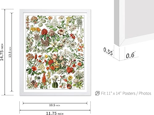 Miniatura 187 de Poster Master Póster vintage de orquídea, estampado de flores retro, arte de pared de plantas exóticas, arte botánico, regalo para hombres y