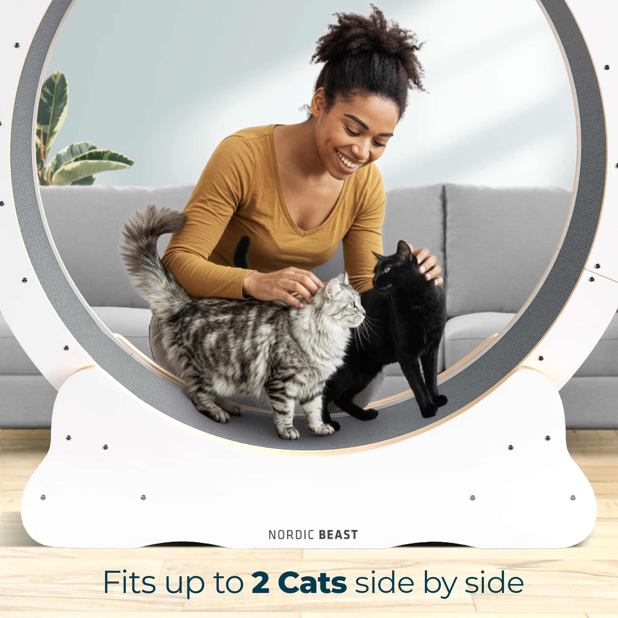 White 48'' XL Cat Wheel - Cat Wheels for Indoor Cats Which Doesn't Negatively Affect Your Cat's Spine - 15.7'' Extra Wide White Exercise Wheel - Fits 2 Cats Side-by-Side, 1-Year Warranty view 7