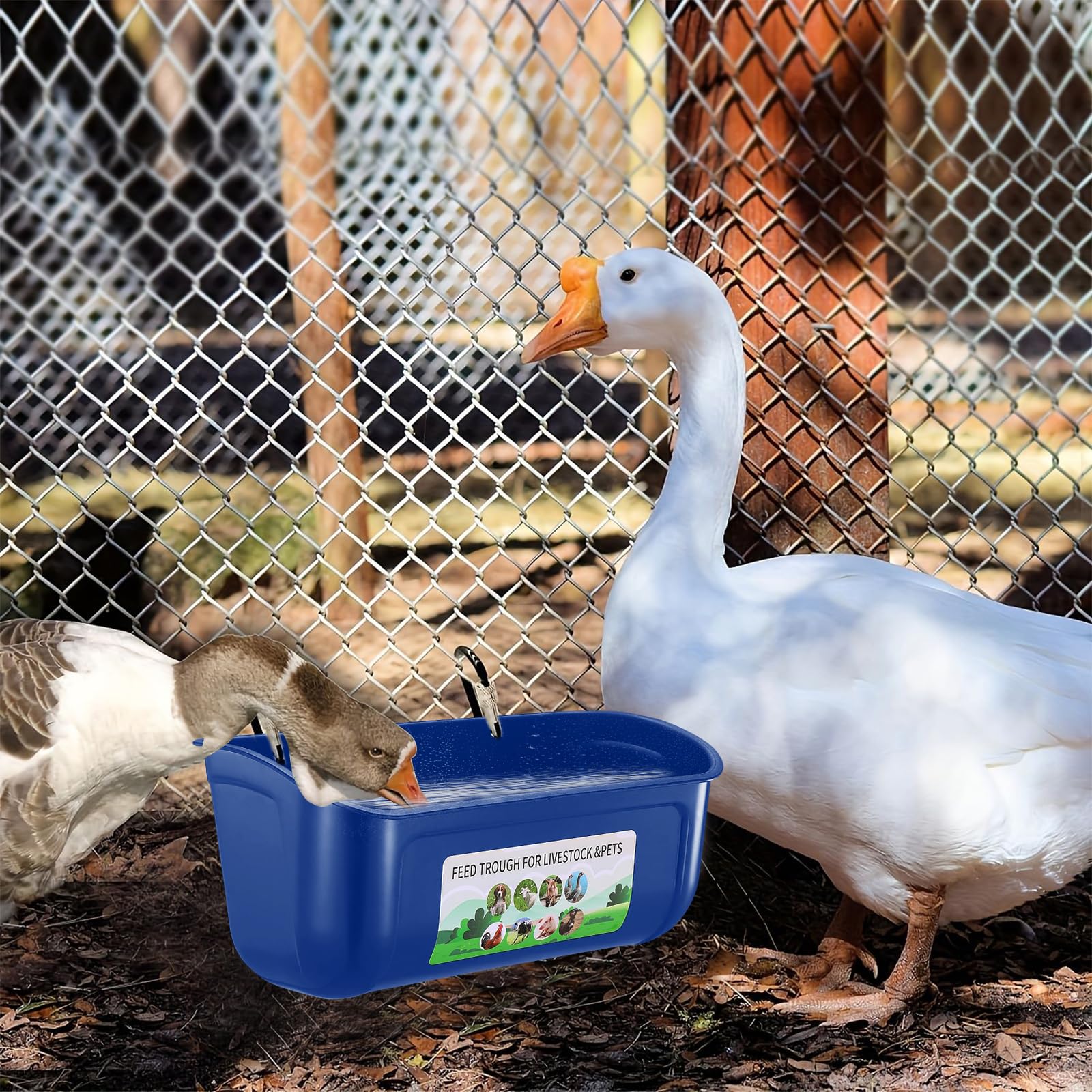 Alimentador de pollo, comedero colgante para pollo, paquete de 6 suministros de comedero de pato, cabra, cerdito, oveja, gallinero, perro, ganado, aves de corral, cubo de plástico con clips, azul