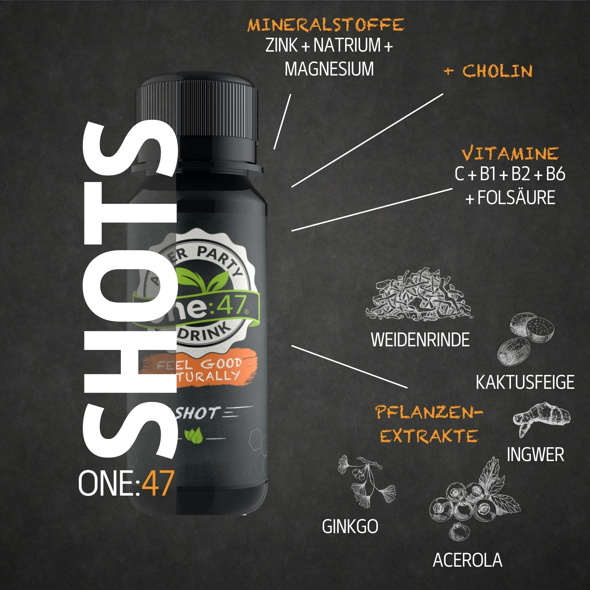 After Party Drink | 12 Shots | Elektrolyte, Vitamine & Mineralstoffe | Basisches Elektrolytgetränk zur Rehydration mit Magnesium, Zink, Vitamin C & B-Vitamine | Vegan | Nahrungsergänzungsmittel