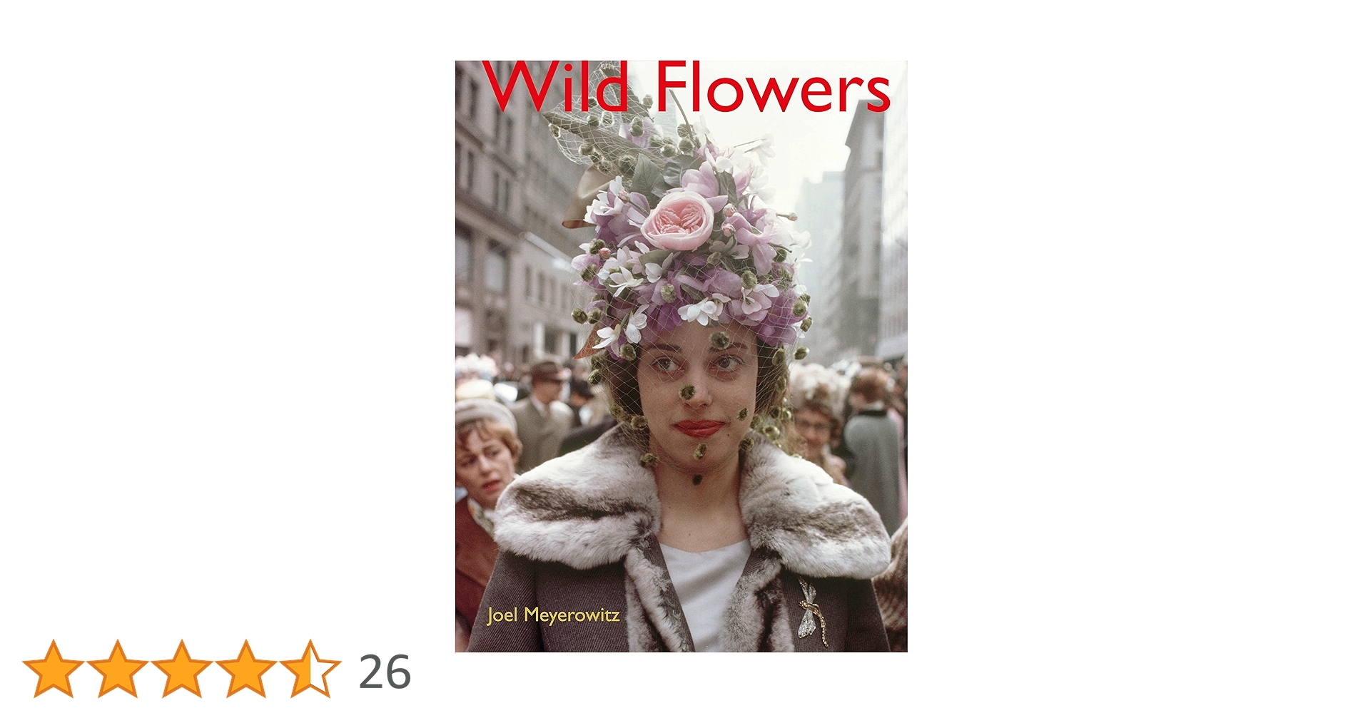 Joel Meyerowitz: Wild Flowers : Meyerowitz, Joel: Amazon.co