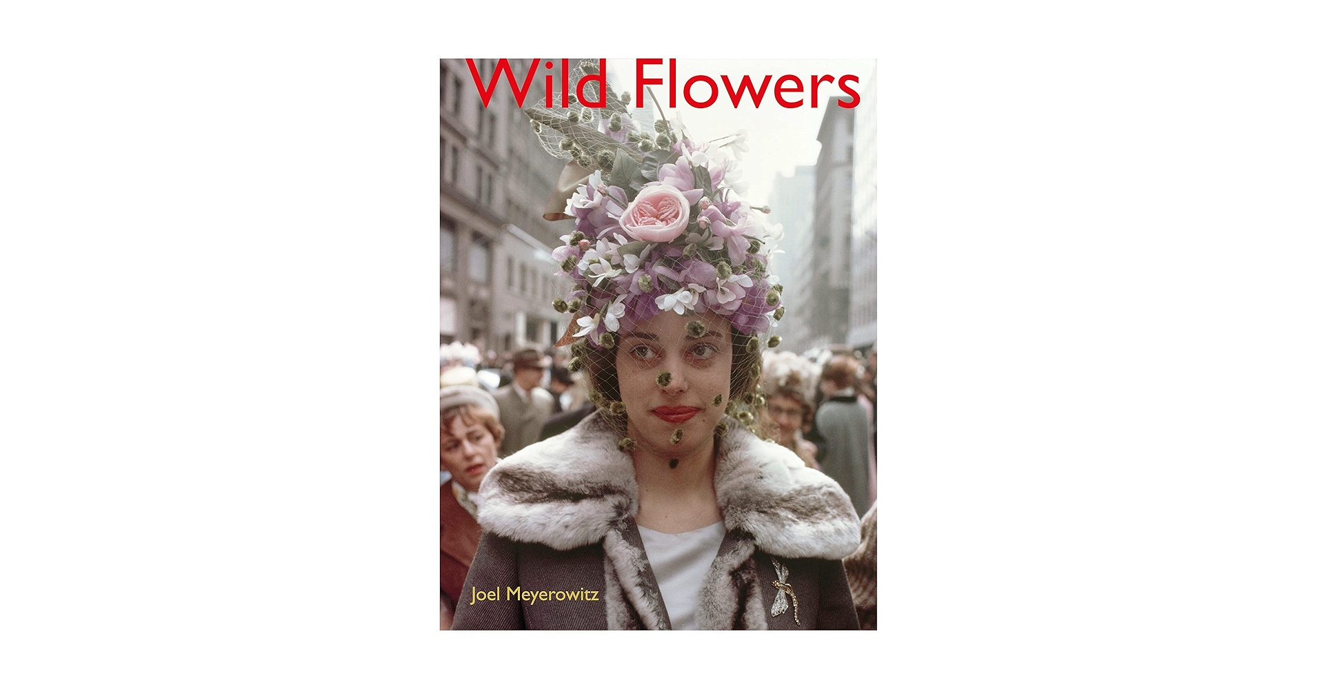 アート・デザイン・音楽 limited500 Wild Flowers Joel Meyerowitz Amazon.com: Joel Meyerowitz: Wild Flowers: 9788862087308