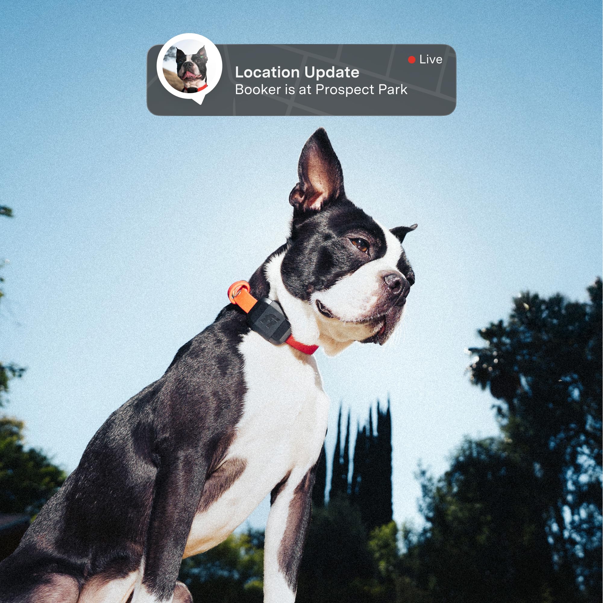 Fi Mini GPS Tracker for Dogs — 12-Month Membership Included — Smart Pet Tracking Collar Attachment — Lightweight, Virtual Fences, Escape Alerts, Step & Health, Waterproof - image 2