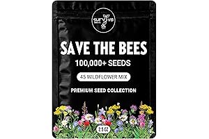 Massive Collection of 100,000 Wildflower Seeds for Bee Conservation and Vibrant Landscapes