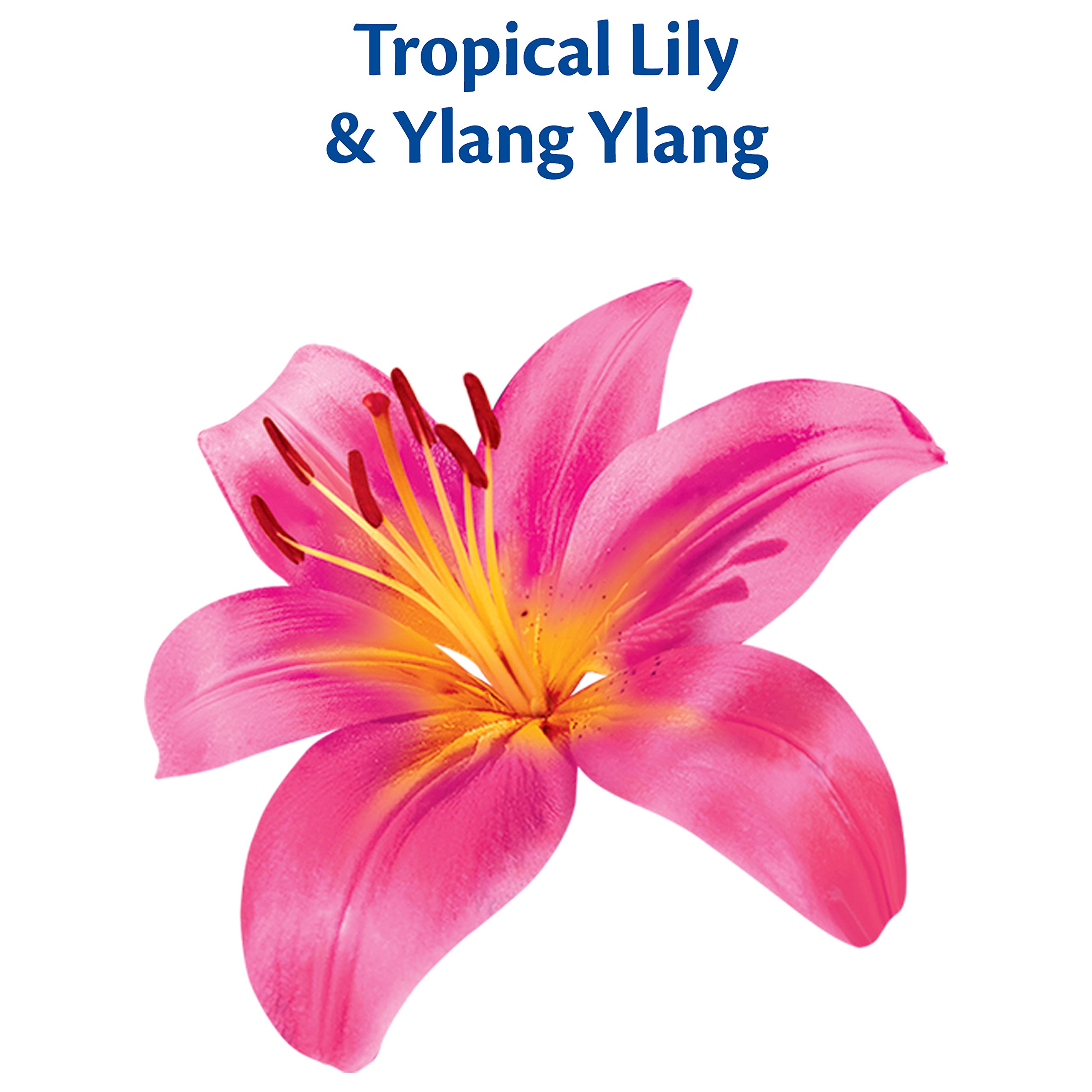 Surf Detersivo in polvere con giglio tropicale e ylang, 120 lavaggi, 8,4 kg