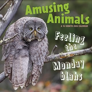 2026 Amusing Animals Wall Calendar