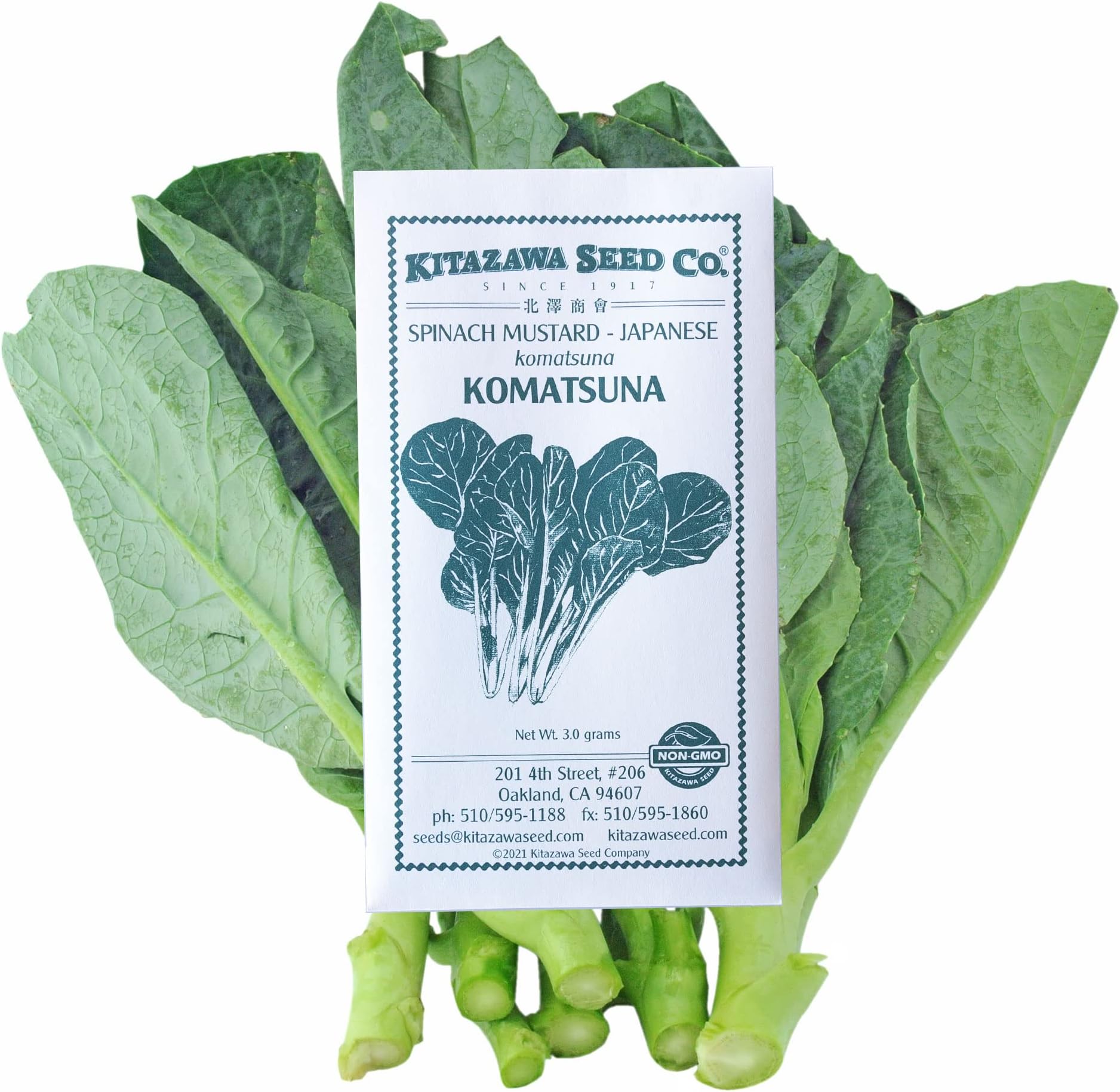 Spinach Mustard - Japanese Komatsuna - 3.0 Grams