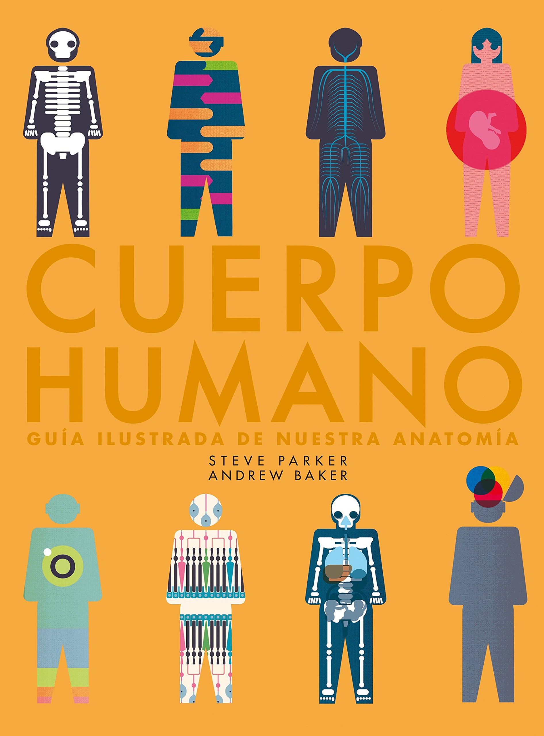 Cuerpo humano: Guía ilustrada de nuestra anatomía